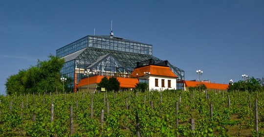 Partnerzy projektu w Zielonej-Górze (propozycja)